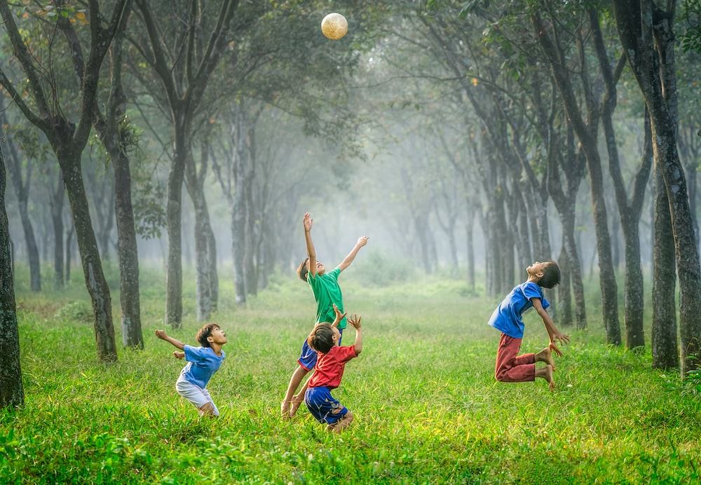 children playing in the grass